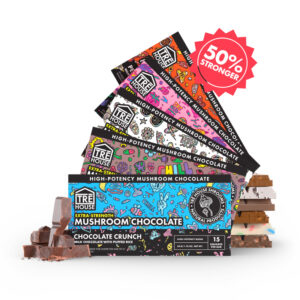 mushroom chocolates group