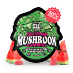 Watermelon Wonder Magic Mushroom Gummies