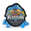 Blue Raspberry Magic Mushroom Gummies - TRĒ House