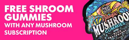 Chevron Collection Mobile (Compressify io)