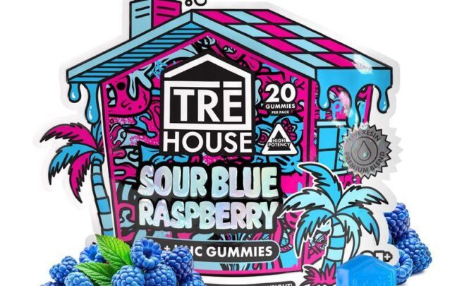trehouse photo render gummies ct pouch sourblueraspberry mar