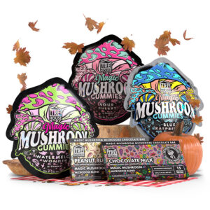 trehouse fall bundle render bundle