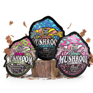 trehouse fall bundle render bundle